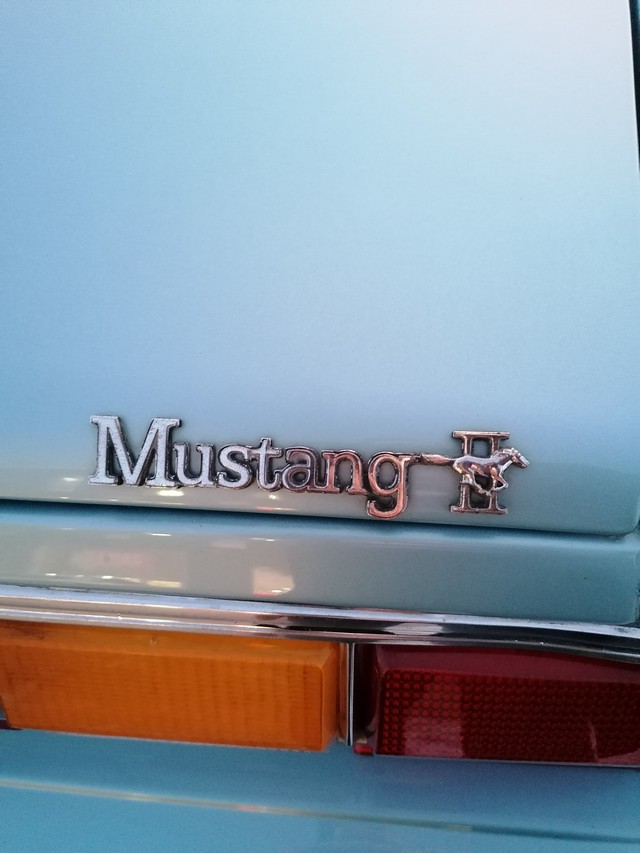 Mustang197613